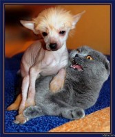 /album/fotogaleria/konecne-som-zvitazil-jpg/